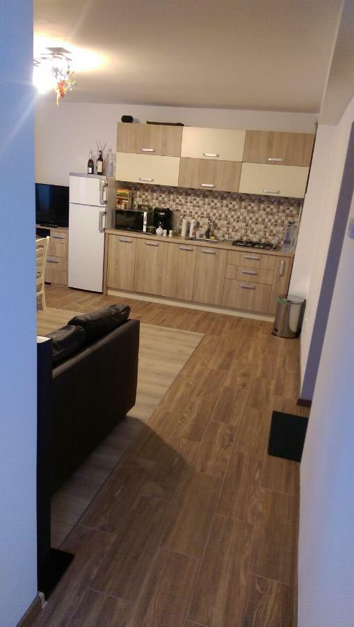 Aterman Apartment'S Sinca Veche المظهر الخارجي الصورة
